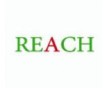 塑料REACH161項(xiàng)檢測(cè)SGS報(bào)告，SGS測(cè)試