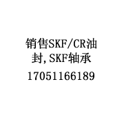 SKF油封軸承公司