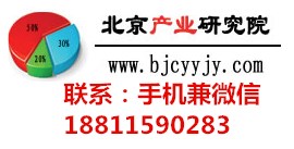 中國骨蠟市場營銷渠道及發(fā)展前景預測報告2018-2024年