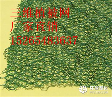 克拉瑪依三維植被網(wǎng)供應(yīng)商15265483637